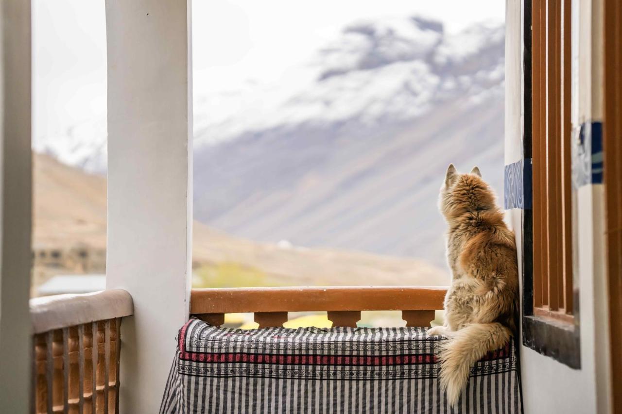 Хостел Zostel Spiti Каза Экстерьер фото
